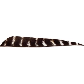Feder RW Parabol 5 Zoll naturgestreift