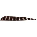 Feder RW Parabol 4 Zoll naturgestreift