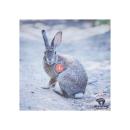 60108 Tierbildauflage Hase 60 cm